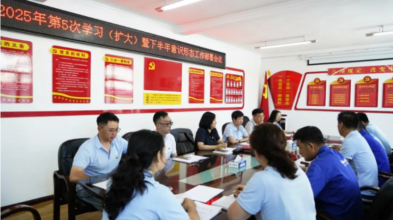 汽貿(mào)公司黨支部對學(xué)習(xí)教育&ldquo;回頭看&rdquo;工作再檢查再部署再推動