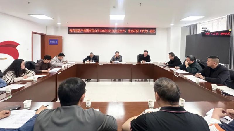 集團召開2025年2月份安全生產(chǎn)、生態(tài)環(huán)保（擴大）會議