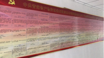 物產(chǎn)配送公司黨委&ldquo;黨的建設(shè)重點(diǎn)強(qiáng)化年&rdquo;活動(dòng)2018年工作任務(wù)、組織保障具體化